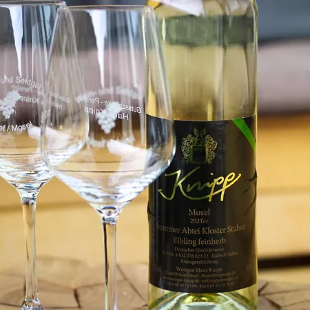 Stilvolle Wellness-ferienwohnung In Whirlpool, Sauna, Grill, Fitness, Billard & Moselblick *