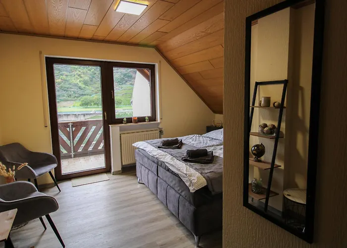 Stilvolle Wellness-ferienwohnung In Whirlpool, Sauna, Grill, Fitness, Billard & Moselblick *